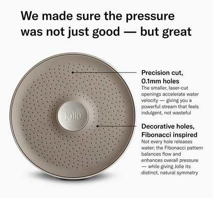 THE FILTERED SHOWERHEAD