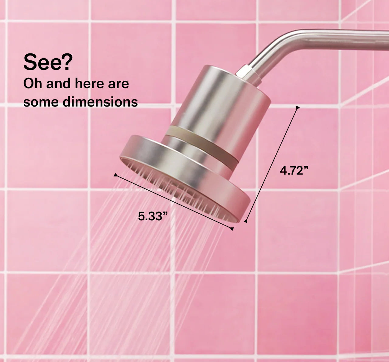 THE FILTERED SHOWERHEAD